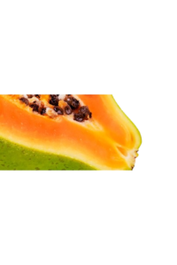 page_06_image_11_horizontal-removebg-preview